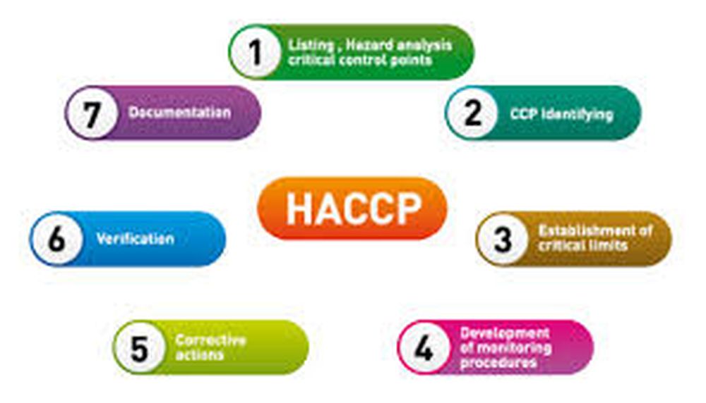Haccp 